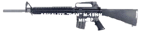 THE ARMALITE "DCM" NATIONAL MATCH RIFLE-GODZILLA WUVS HIS!
