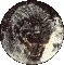 spin.gif (12566 bytes)
