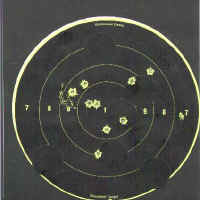 THIS IS 10-RING STICKY THE GROUP FIRED WAS AT 200 WITH IRON SIGHTS