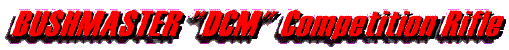 BUSHMASTER DCM RIFLE BANNER.gif (7954 bytes)