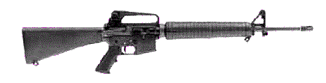 accuracy speaks ar15dsr2.gif (6486 bytes)