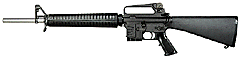 NM A2 -- DCM LEGAL