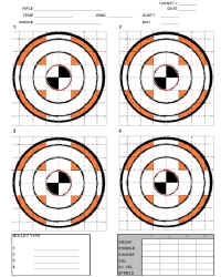 100-yard standard target.jpg (173766 bytes)