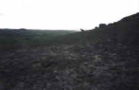 p-dog_town_and_mesa.jpg (22135 bytes)